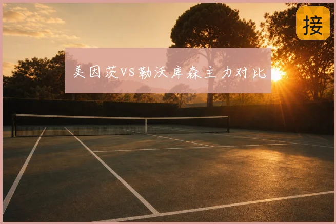 美因茨vs勒沃库森主力对比