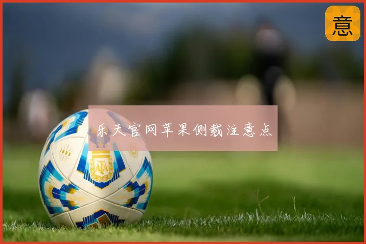 乐天官网苹果侧载注意点